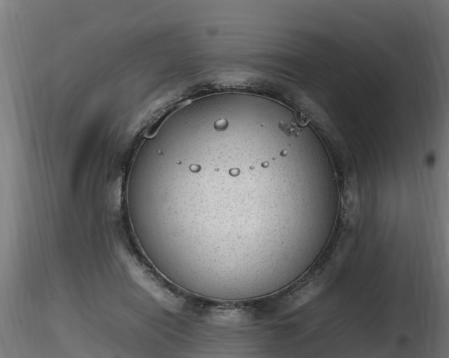 X0000116880454200912291246