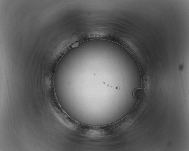 X0000116880455200912291246