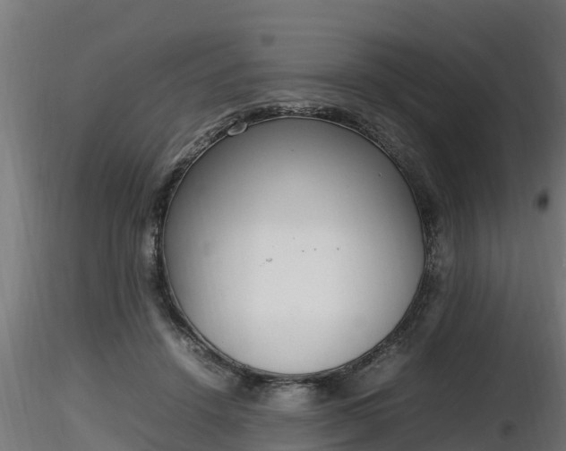 X0000116880456200912291246