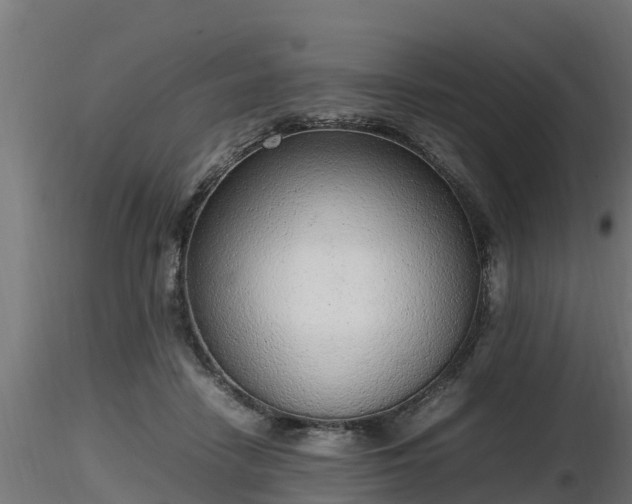 X0000116880458200912291246
