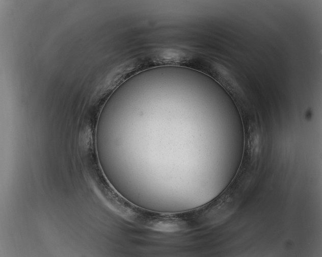 X0000116880459200912291246