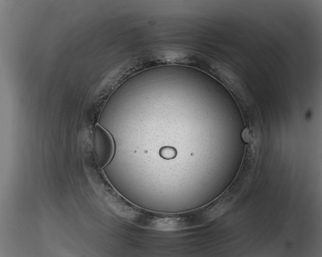 X0000116880461200912291246
