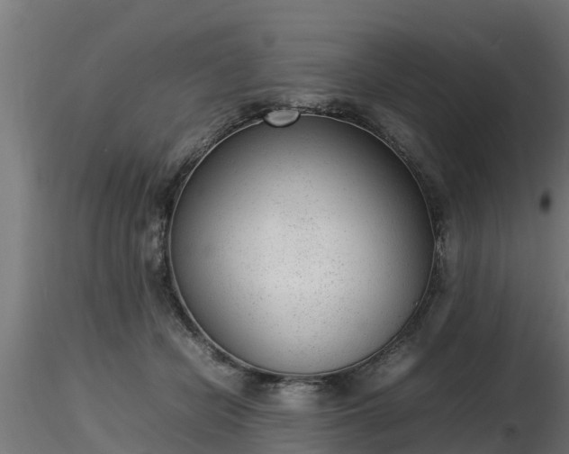 X0000116880462200912291246