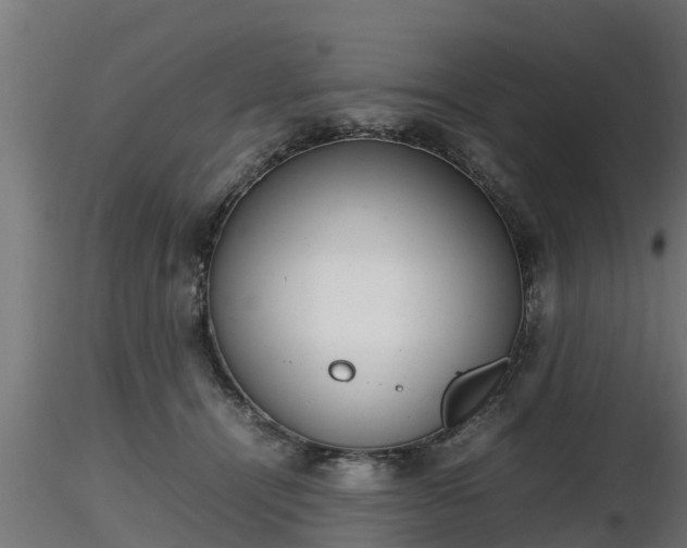 X0000116880464200912291246