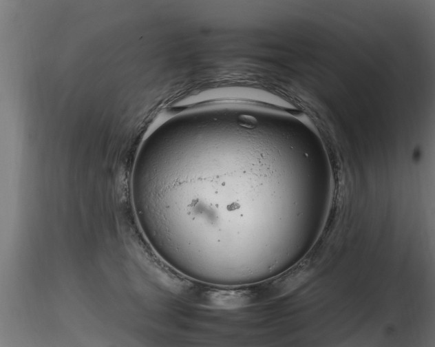 X0000116880465200912291246