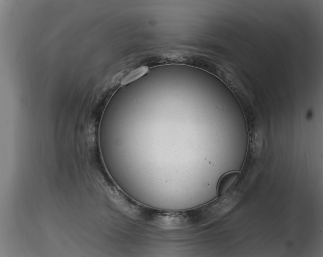 X0000116880466200912291246