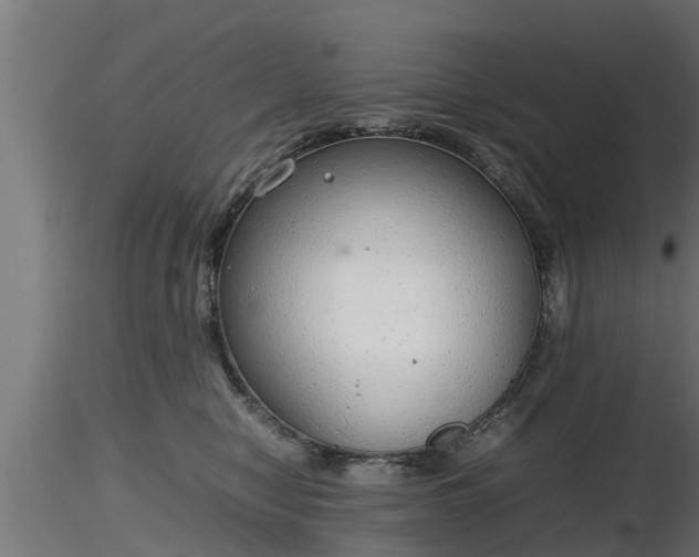 X0000116880470200912291246