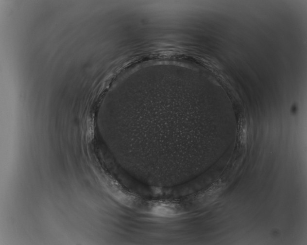 X0000116880471200912291246