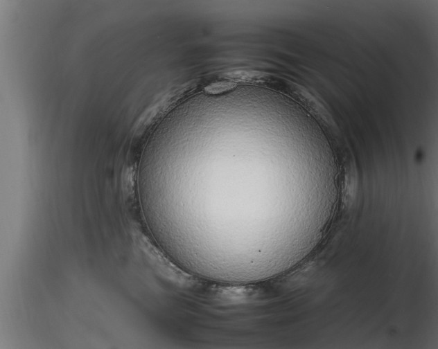 X0000116880473200912291246