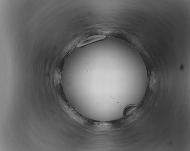 X0000116880476200912291246