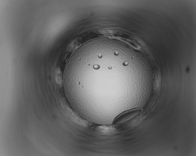 X0000116880477200912291246