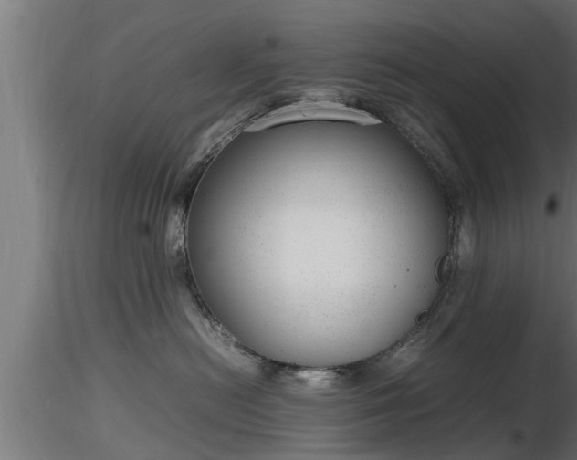 X0000116880478200912291246