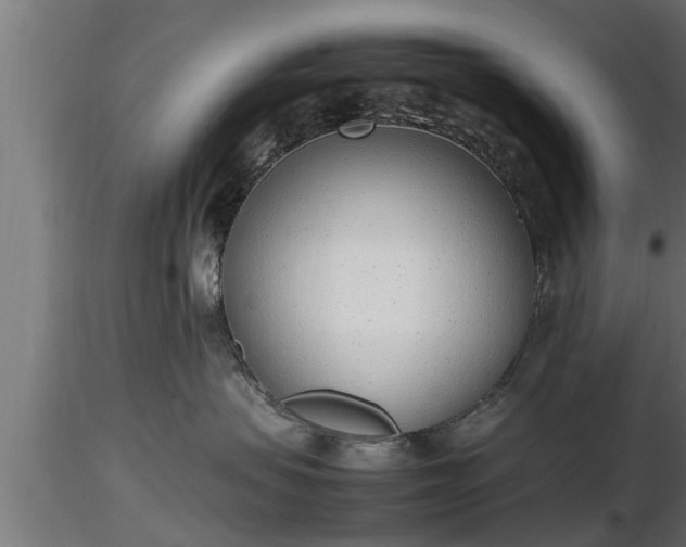 X0000116880479200912291246