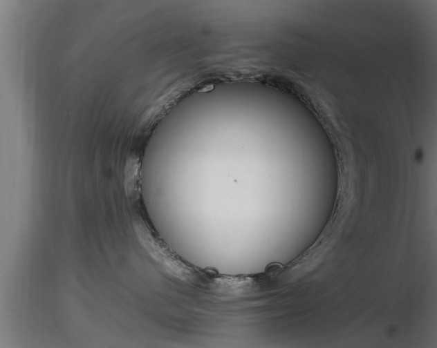 X0000116880480200912291246
