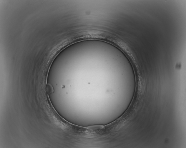 X0000116880481200912291245