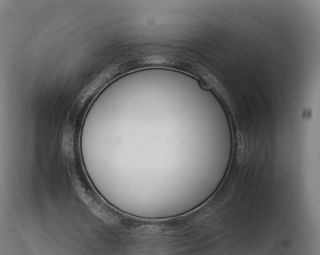 X0000116880482200912291245
