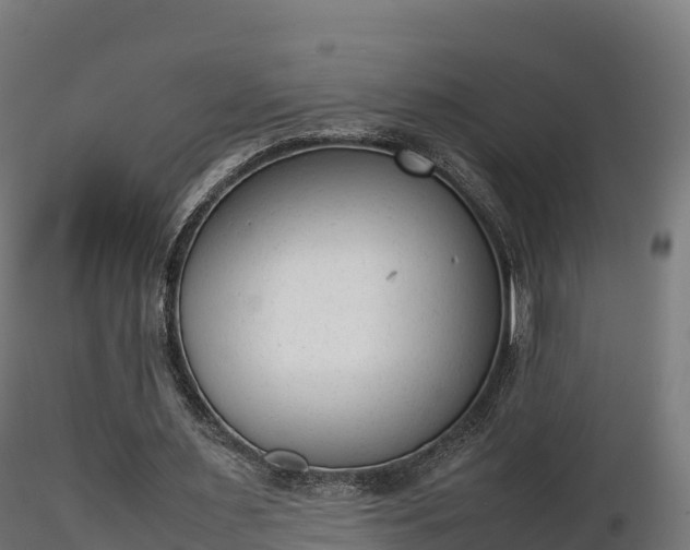 X0000116880483200912291245
