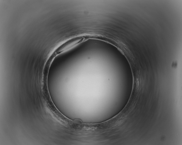 X0000116880484200912291245
