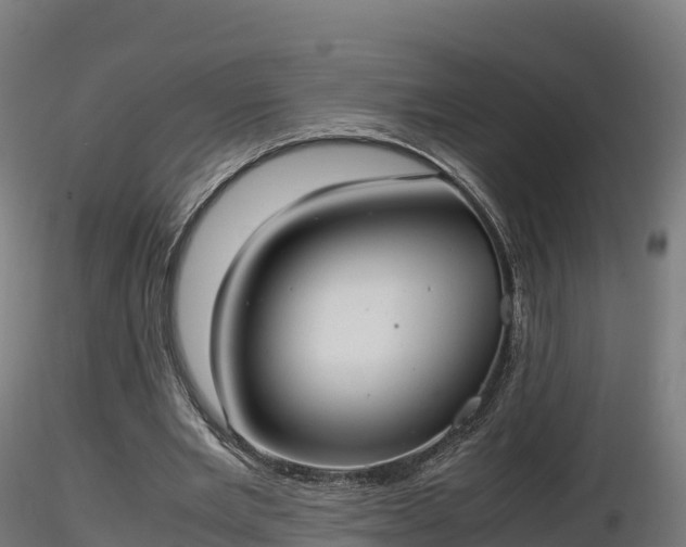 X0000116880485200912291245