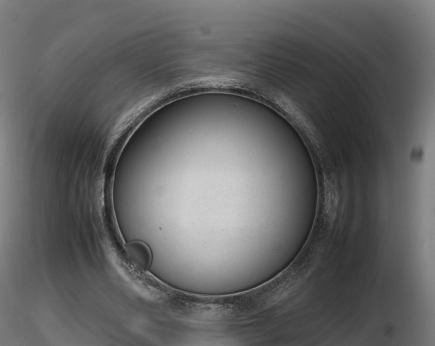 X0000116880486200912291245