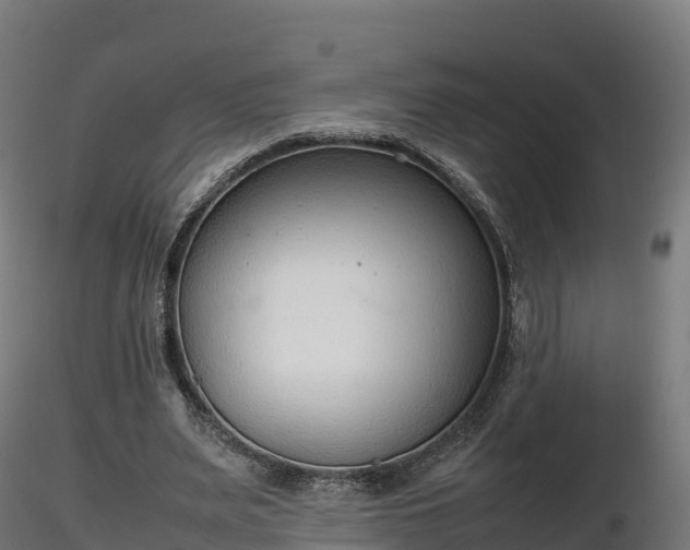 X0000116880487200912291245