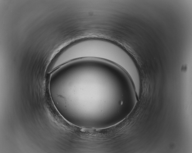 X0000116880488200912291245