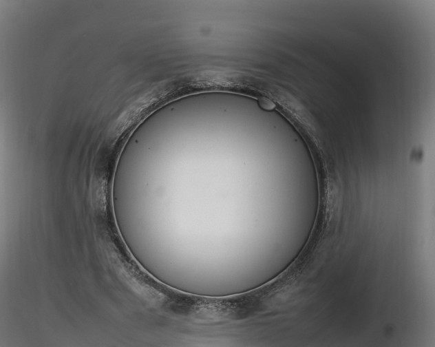 X0000116880489200912291245