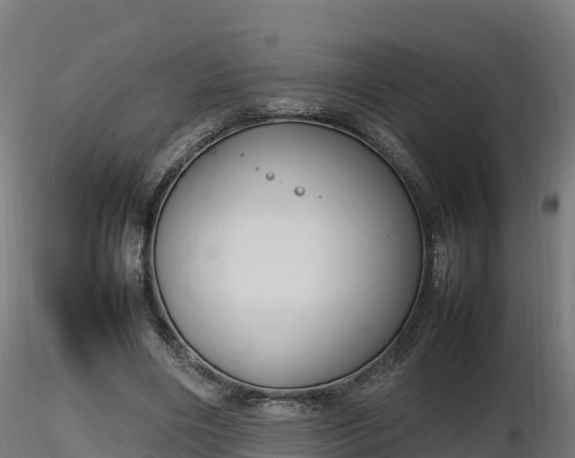 X0000116880490200912291245