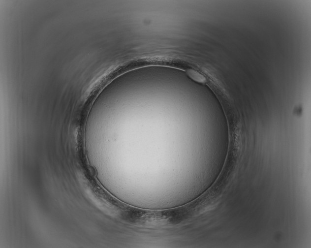 X0000116880491200912291245