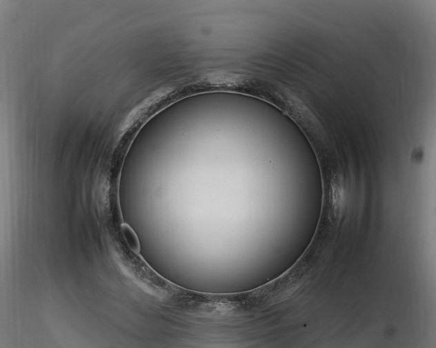 X0000116880492200912291245