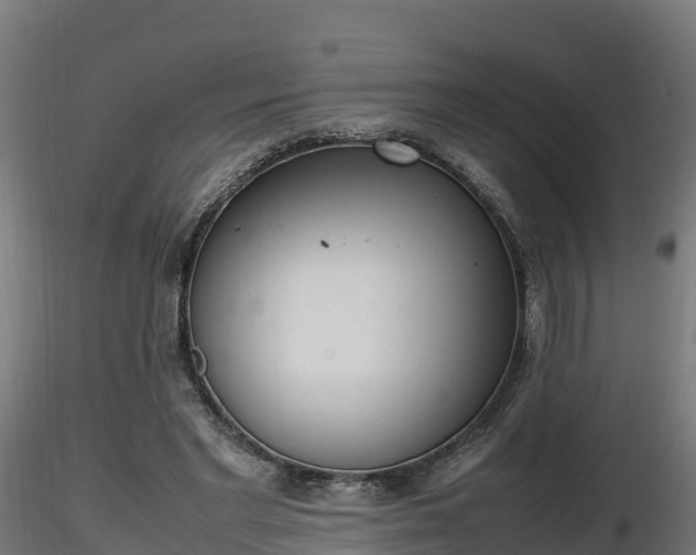 X0000116880493200912291245