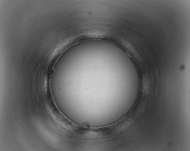 X0000116880494200912291245