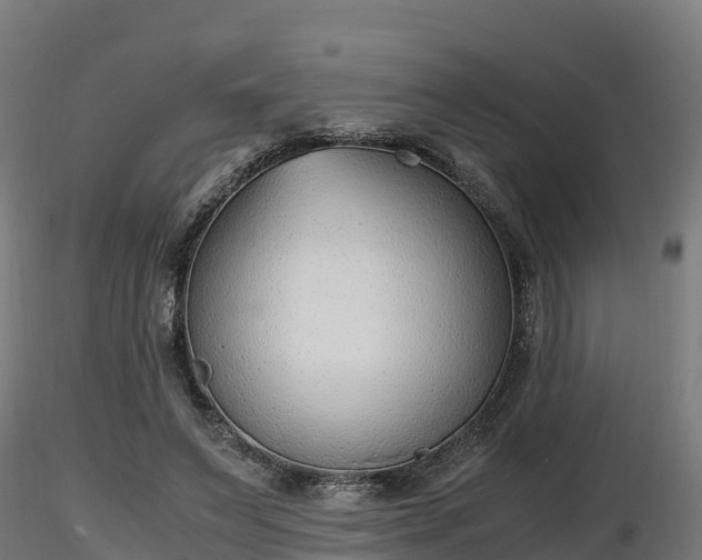X0000116880495200912291245