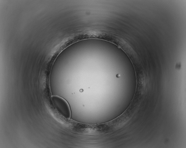 X0000116880496200912291245