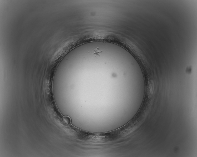 X0000116880497200912291245