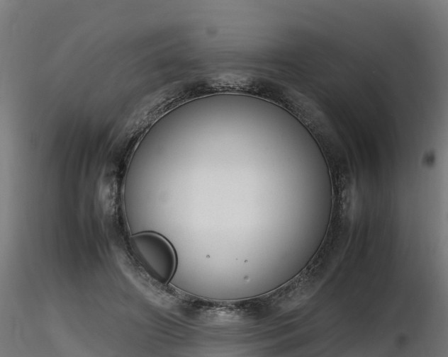 X0000116880498200912291245