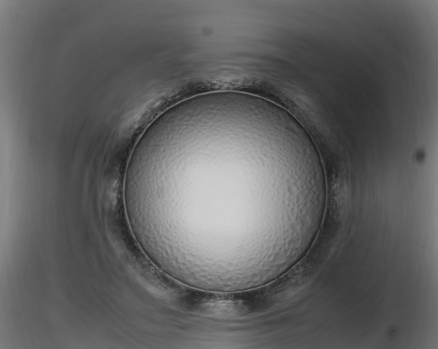 X0000116880499200912291245