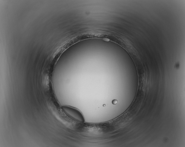 X0000116880500200912291245