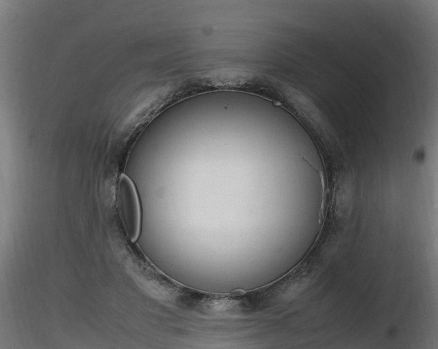 X0000116880501200912291245