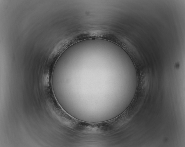 X0000116880502200912291245