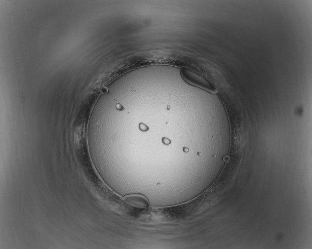 X0000116880503200912291245