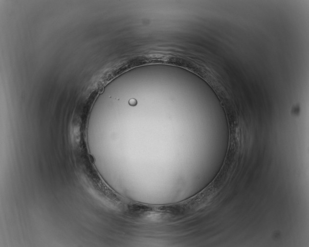 X0000116880504200912291245