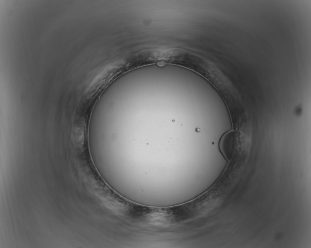 X0000116880505200912291245