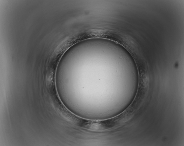 X0000116880507200912291245