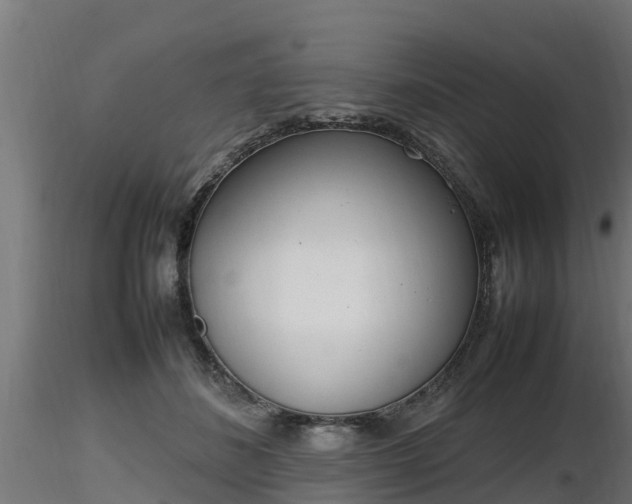 X0000116880508200912291245