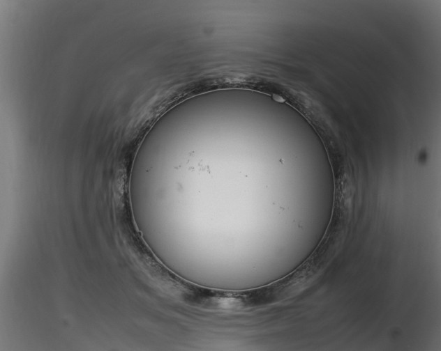 X0000116880509200912291245
