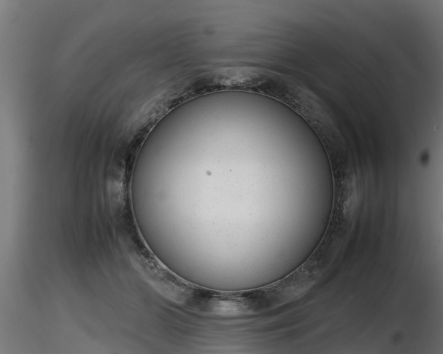 X0000116880510200912291245