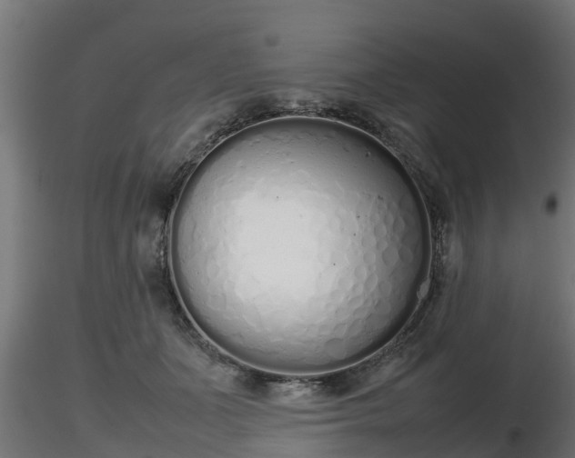 X0000116880511200912291245
