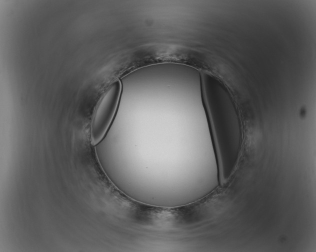 X0000116880513200912291245