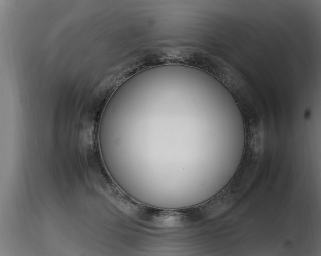 X0000116880514200912291245